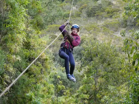 Canopying im Amazonas Dschungel