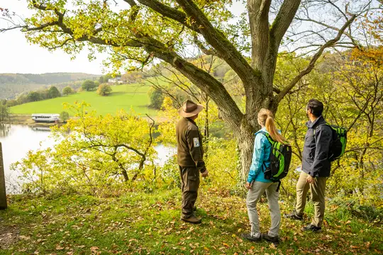 Uferweg bei Einruhr am Obersee