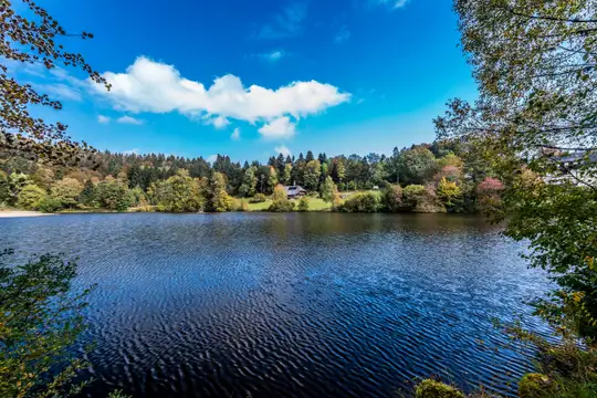 Der idyllische Klosterweiher in Dachsberg