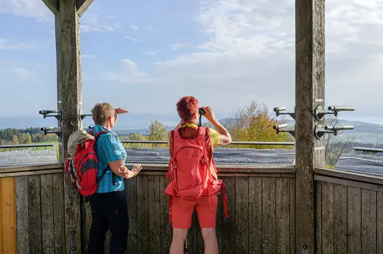 Illmensee Aussichtsplattform Höchsten