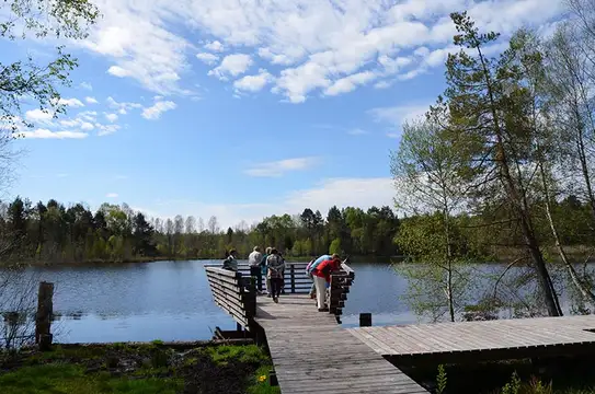 Pfrunger-Burgweiler Ried