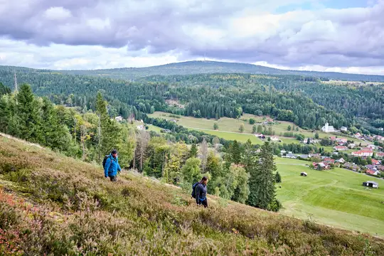 Jägersteig an der Königsheide
