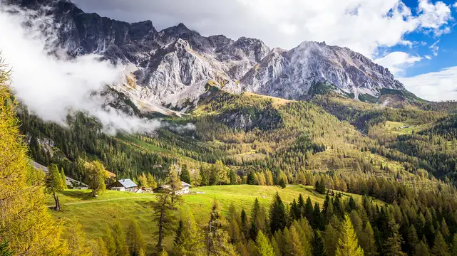 Bachlalm am Dachstein, die Murmeltieralm in Filzmoos
