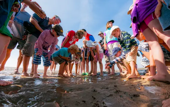 Wattwanderung Föhr