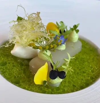 moderne Sterneküche