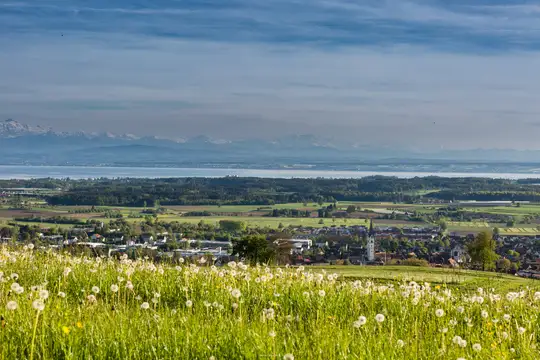 Blick vom Gehrenberg
