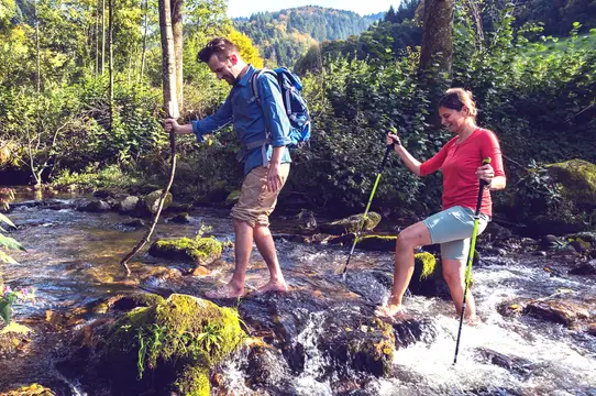 Vielfältiges Wanderparadies Glottertal