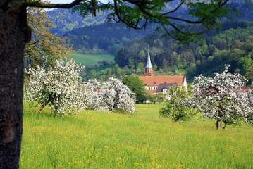 Blühendes Glottertal