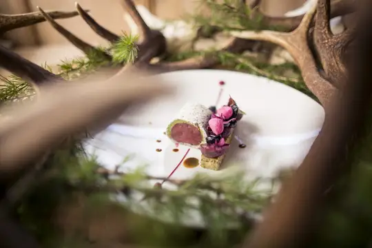 Gourmet Hotel & Restaurant Ansitz zum Steinbock