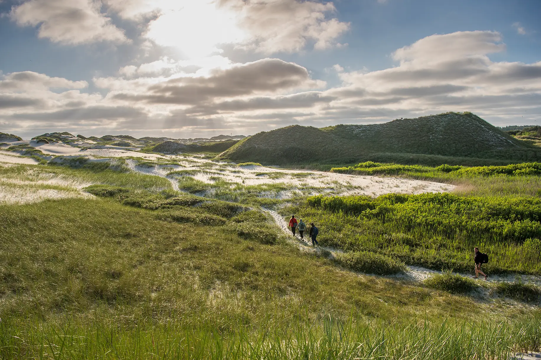 Amrum – Urlaubs-Insel zwischen Nordsee und Wattenmeer