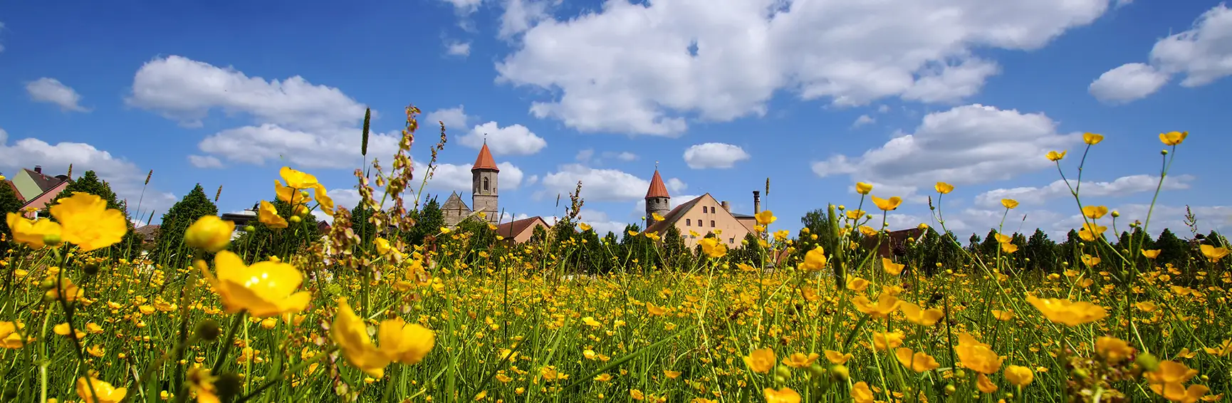 Gunzenhausen – Fränkisches Seeland und Naturpark Altmühltahl