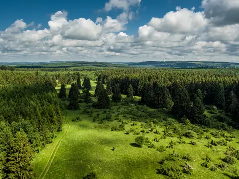 Wachholderheide