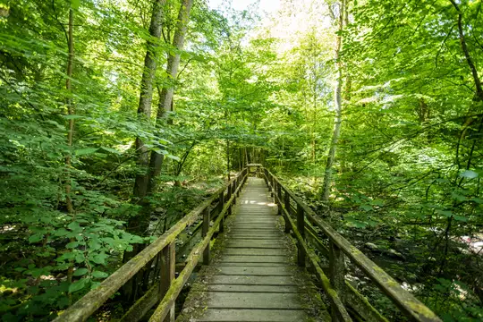 Holzbachschlucht bei Seck