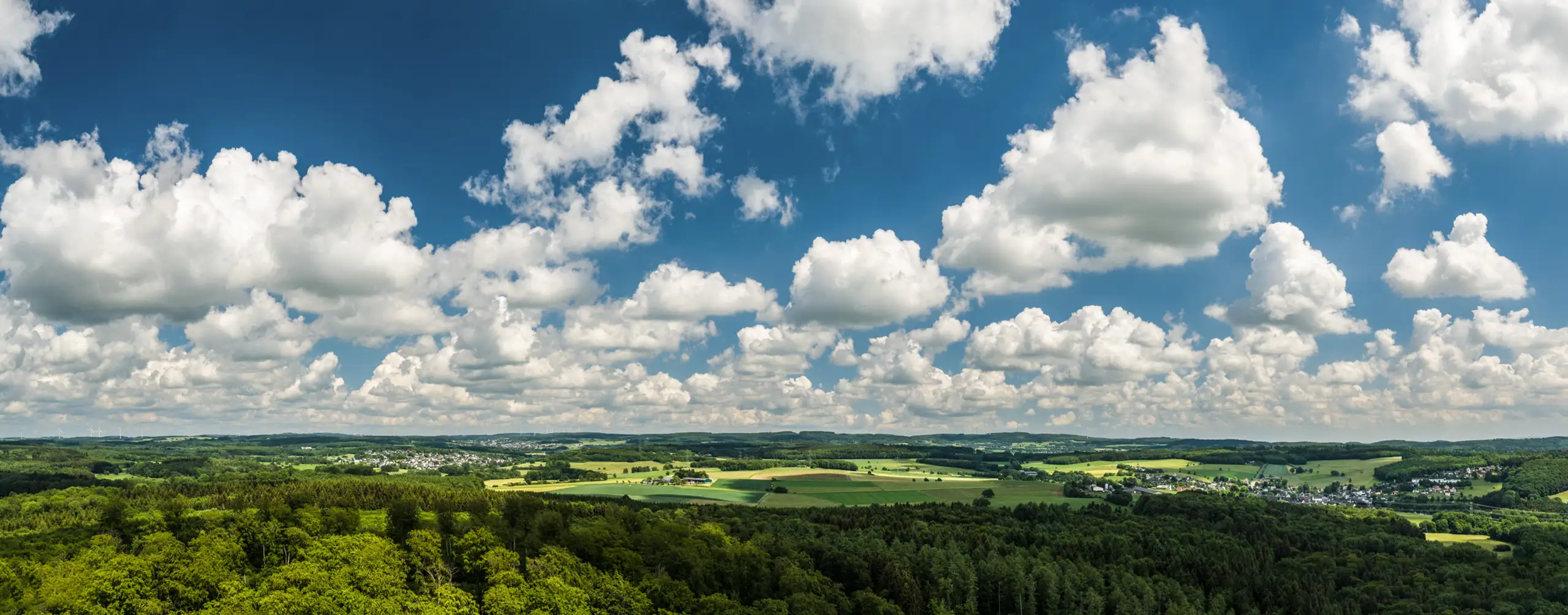 Hoher Westerwald bei Rennerod – Natur genießen!