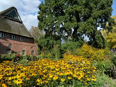 Arboretum Ellerhoop
