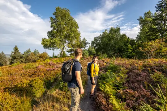 Wandern in der Lippischen Velmerstot