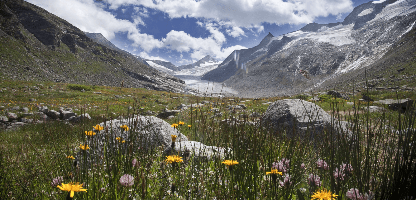 Wanderhotel Gassner – Berge und Spa am Großvenediger in Österreich