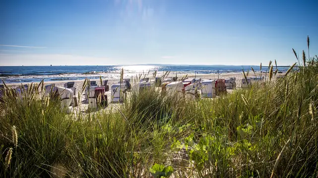 Strand mit Strandkörben Sommer
