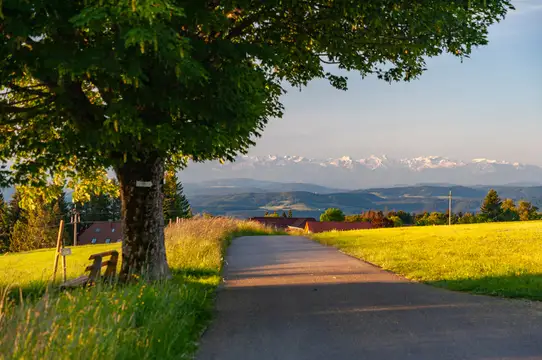 Wandern auf der Sonnenterrasse des Südschwarzwalds