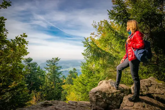 Naturdenkmal mit Blick ins Rheintal