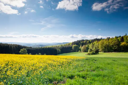 Hunsrücker Frühlingslandschaft