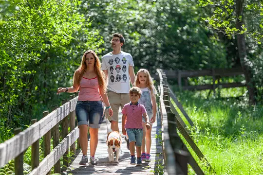 Urlaub mit Hund im Hunsrück