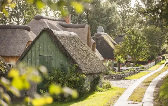 Reetgedeckte Häuser in Simonsberg / Husumer Bucht