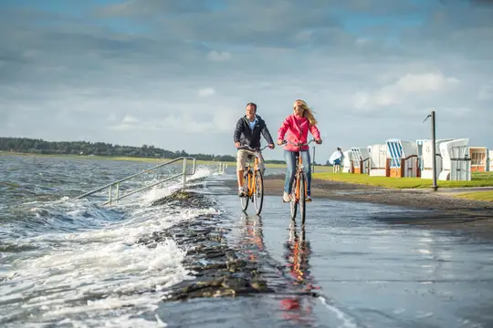 Radfahren entlang des Nordseeküsten-Radweges am Dockkoog