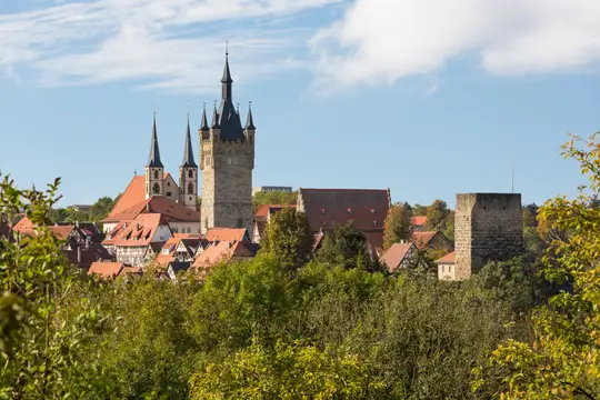 Stadtansicht Bad Wimpfen mit der ehemaligen Staufischen Kaiserpfalz