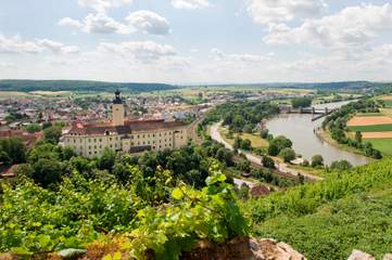 Blick auf Gundelsheim und das Neckartal