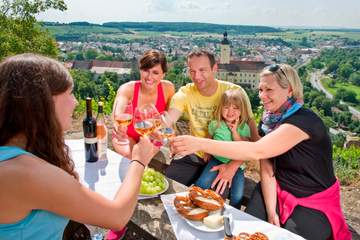 Rast auf dem Michaelsberg bei Gundelsheim