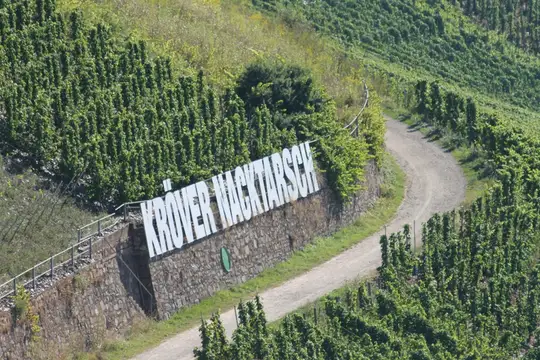 Weinbergslage Kröver Nacktarsch