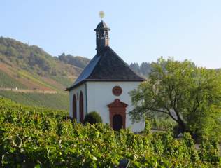 Kesselstattkapelle inmitten der Weinberge