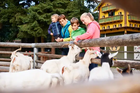 Streichelzoo im Bayerwald-Tierpark