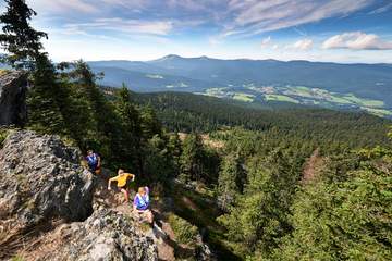 Wandern durch ein Meer von Wäldern