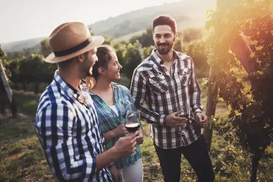 Urlaub auf dem Winzerhof