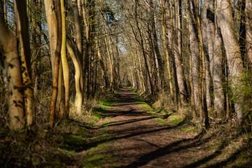 Langeoog Impressionen