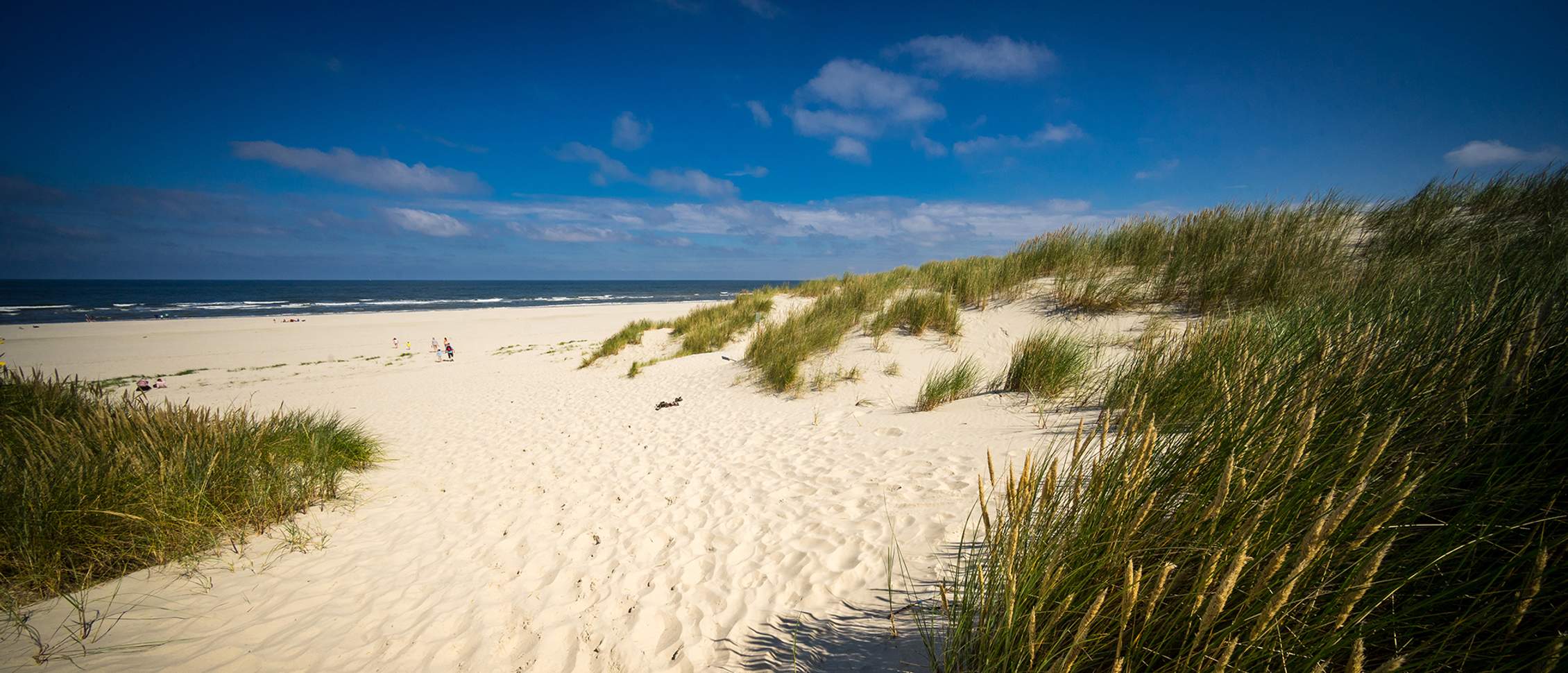 Langeoog – die Insel fürs Leben