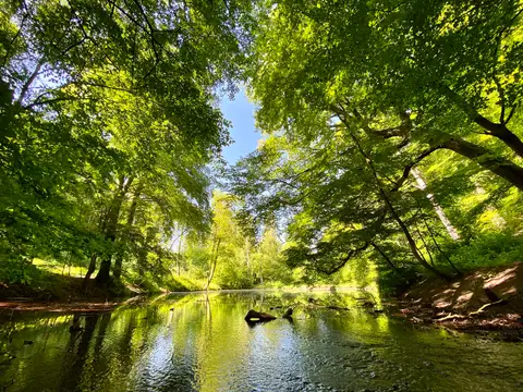 Apenteiche - Freden (Leine)