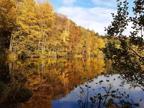 Weinbergersee Duingen