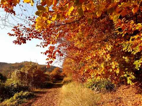 Wanderweg bei Everode - Freden (Leine)