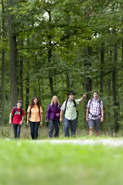 Natur genießen im herrlichen Spessartwald