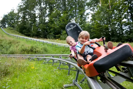 Rodelspaß auf dem Bärenbob