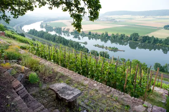 Blick ins Maintal bei Karlstadt