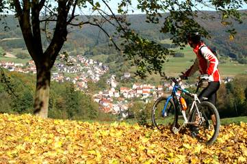 Blick auf Frammersbach im Bikewald Spessart