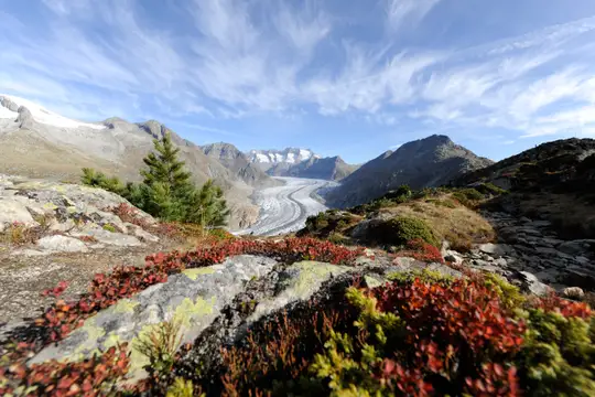 Aussicht auf den Aletschgletscher