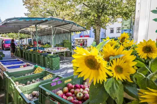 Weidener Wochen- & Bauernmarkt