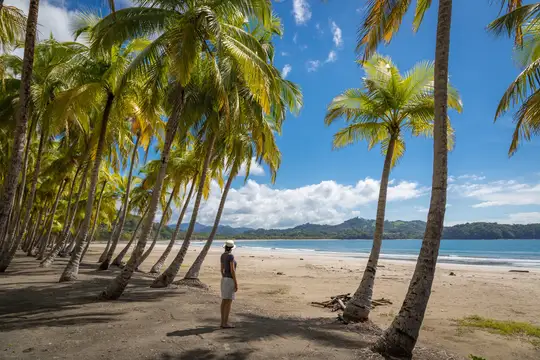 Tamarindo