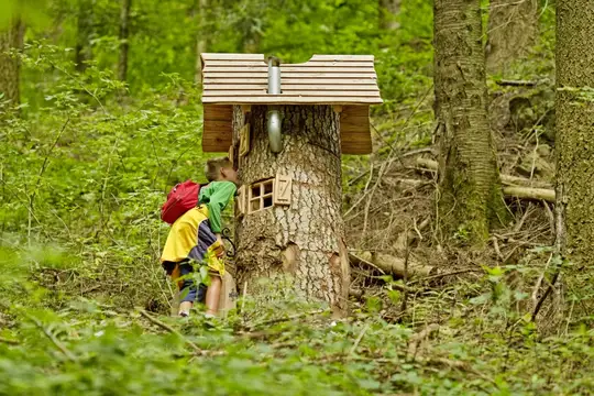 Erlebnis in der Natur