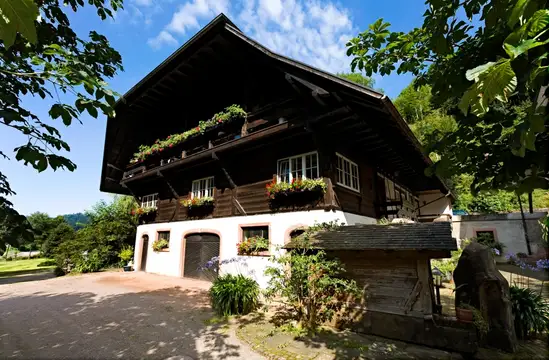 Mittendrin im Schwarzwald